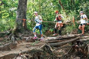 BIB: 
                            <button type="button" onclick="openModal(27558412)" class="btn btn-primary btn-sm float-right btn-popup" data-toggle="modal" data-target=".modal-high-quality">
                        <i class="fas fa-shopping-cart"></i> Add to Cart
                    </button>
                                            <button type="button" onclick="isThisMe(27558412, true)" class="btn btn-success btn-sm float-right btn-popup btn-isme hidden" data-toggle="tooltip" data-placement="bottom" title="นี่คือรูปของคุณใช่ไหม คลิกที่นี่เพื่อเอาเข้าอัลบั้ม">
                        <i class="fas fa-plus"></i> Add to album
                    </button>
                    <button type="button" onclick="isThisMe(27558412, false)" class="btn btn-warning btn-sm float-right btn-popup btn-isnotme hidden">
                        <i class="fas fa-ban"></i> Remove from album
                    </button>